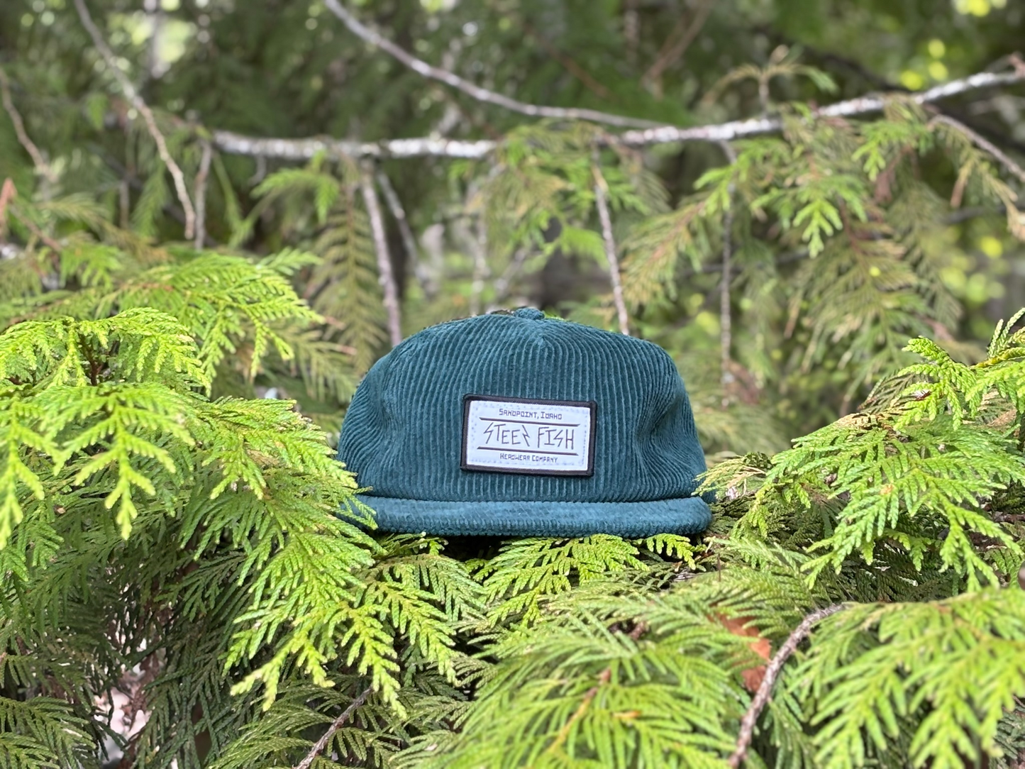 Northwest Moss Cordoruy Hat